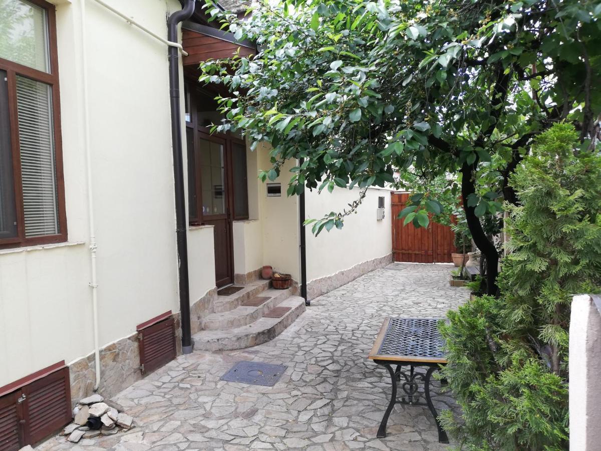 蒂米什瓦拉 Arthouse Lucrezia酒店 外观 照片