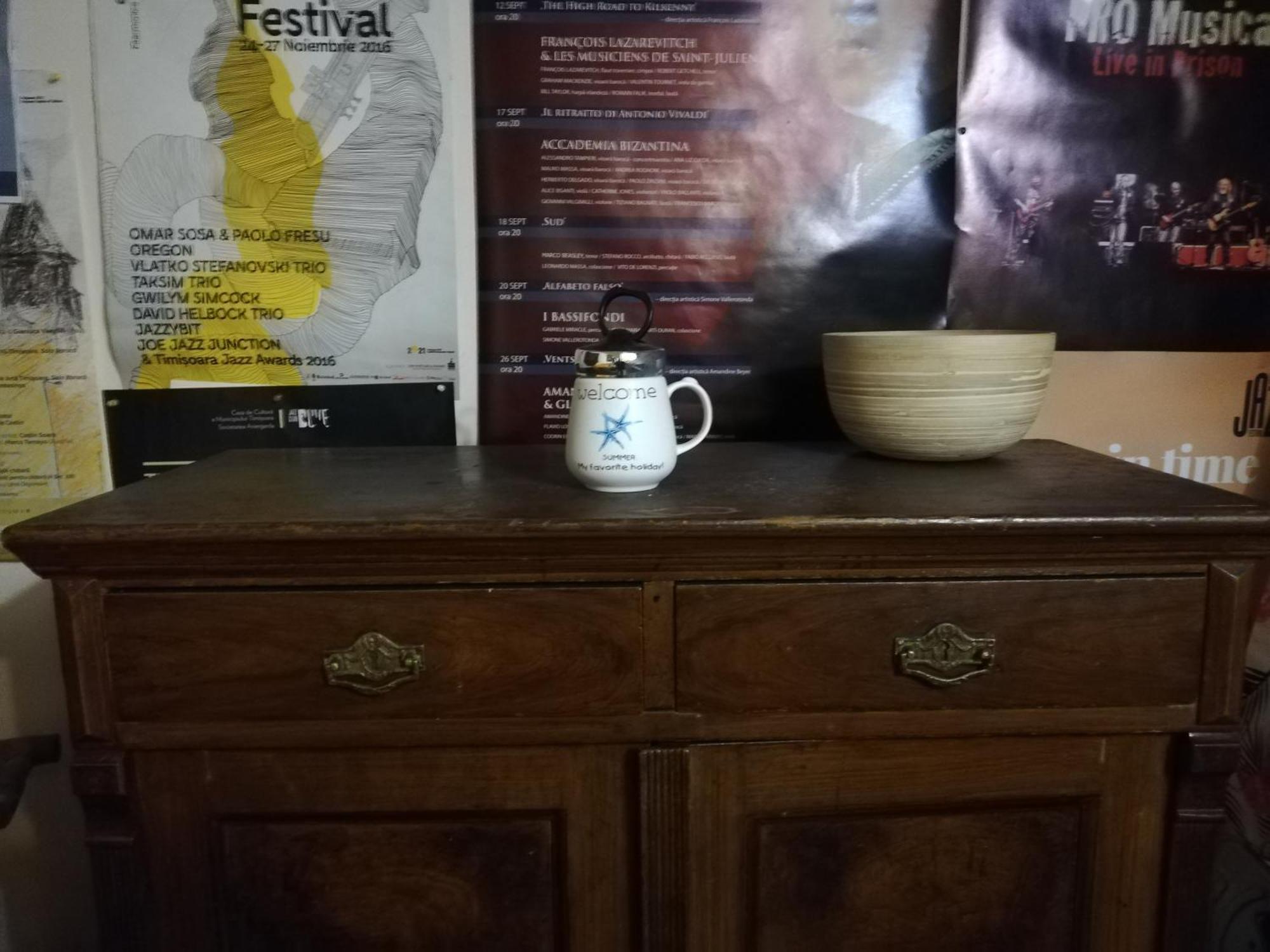 蒂米什瓦拉 Arthouse Lucrezia酒店 外观 照片
