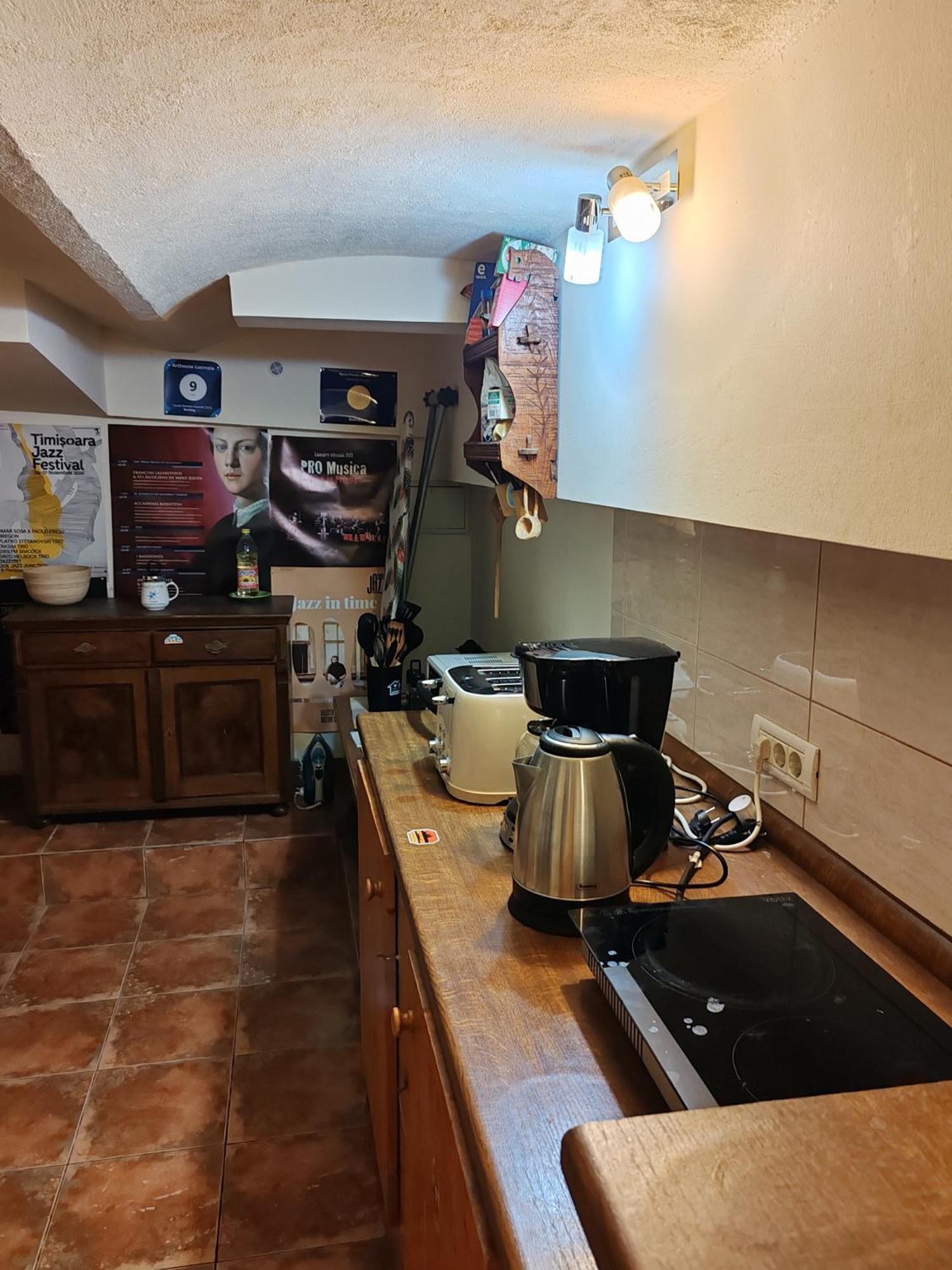 蒂米什瓦拉 Arthouse Lucrezia酒店 外观 照片