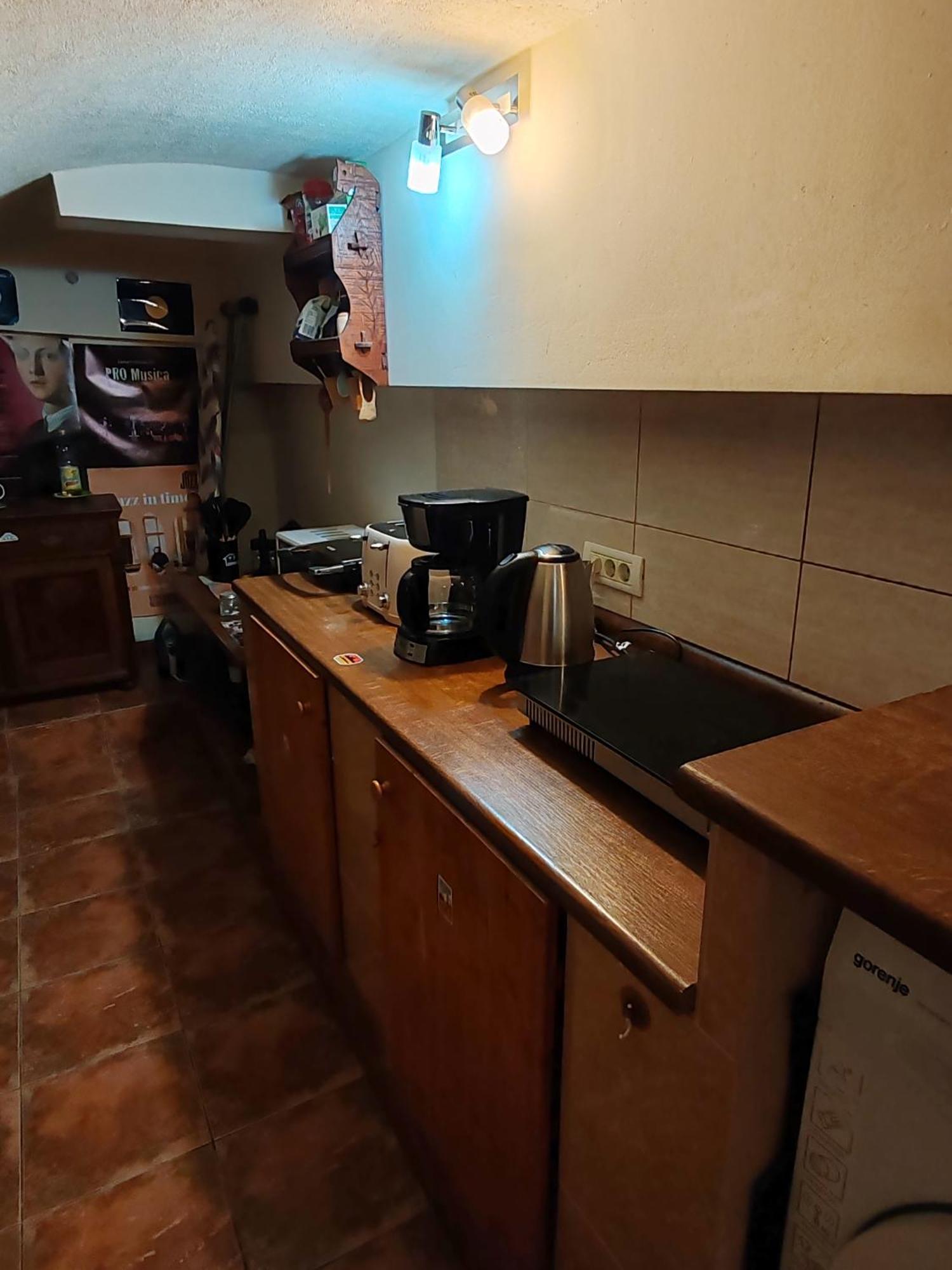 蒂米什瓦拉 Arthouse Lucrezia酒店 外观 照片