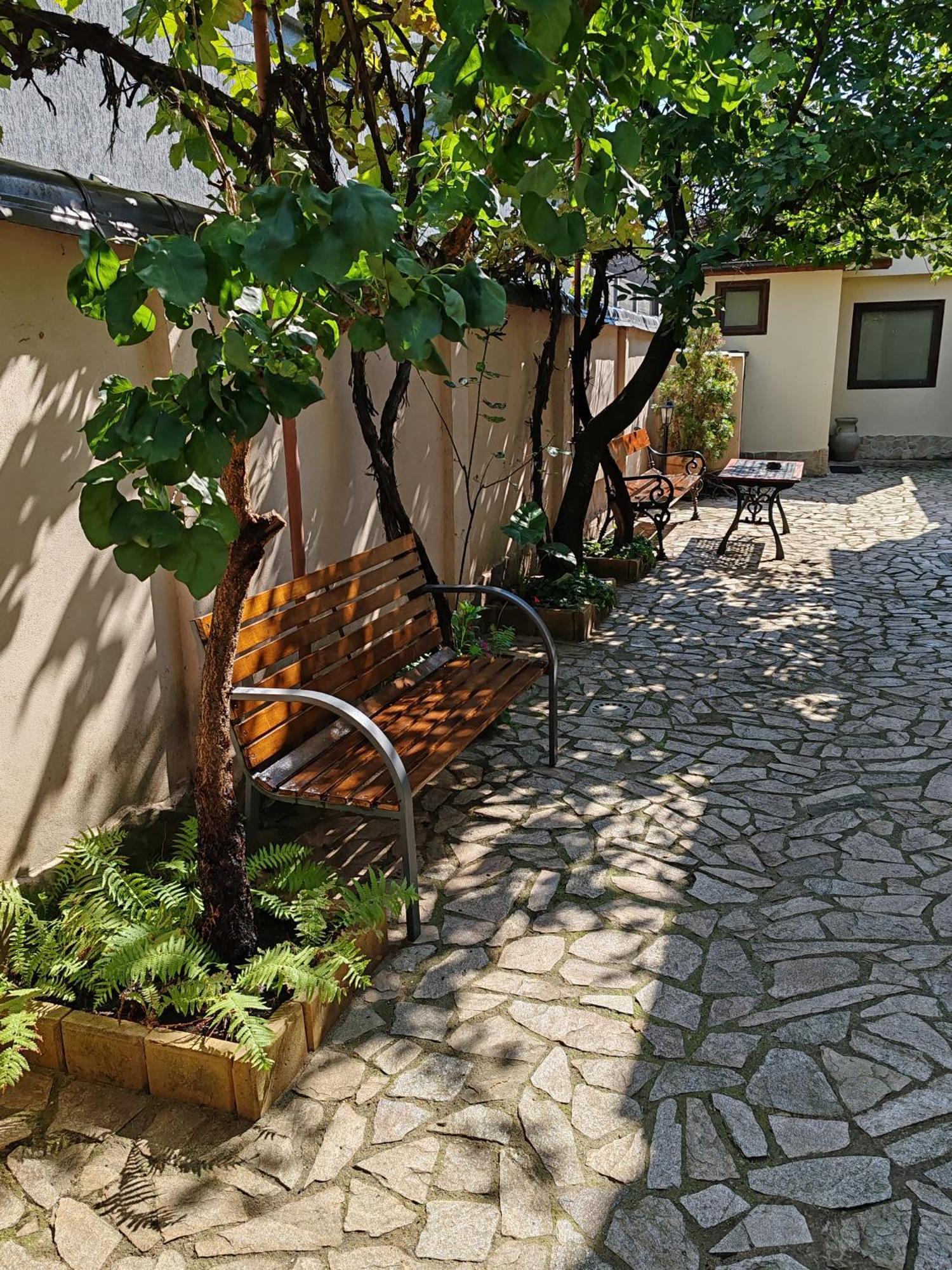 蒂米什瓦拉 Arthouse Lucrezia酒店 外观 照片